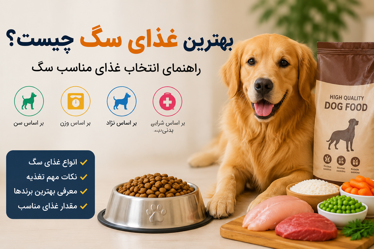بهترین غذای سگ چیست؟ راهنمای انتخاب غذای مناسب بر اساس سن، نژاد و وزن