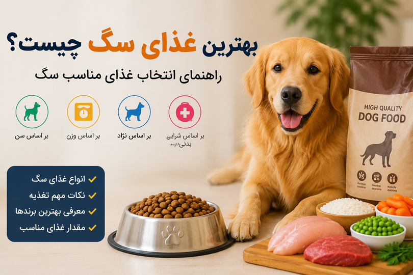 بهترین غذای سگ چیست؟ راهنمای انتخاب غذای مناسب بر اساس سن، نژاد و وزن